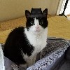 Houndenberg avatar