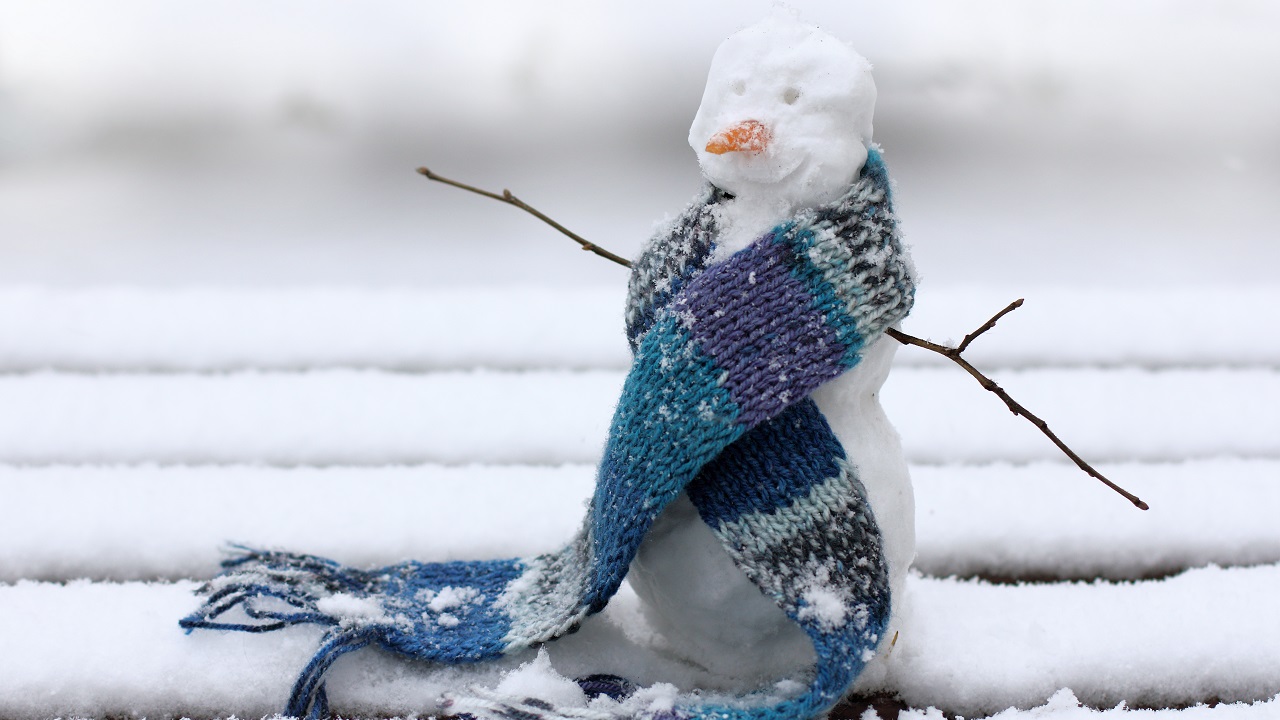 Caregiver Tips: How to Keep Seniors Happy, Healthy and Warm This Winter-Image