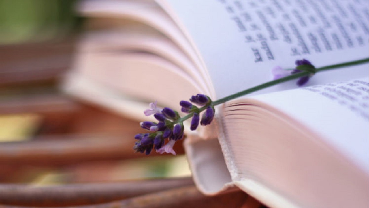 A Recommended Reading List for Caregivers-Image