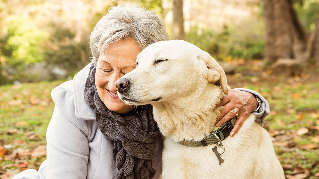 do puppies help older dogs