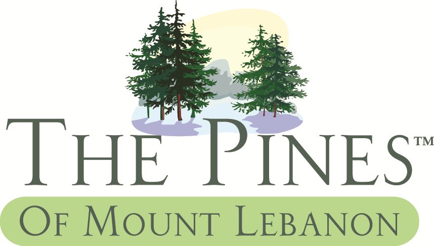 mclaughlin funeral home mt lebanon pa