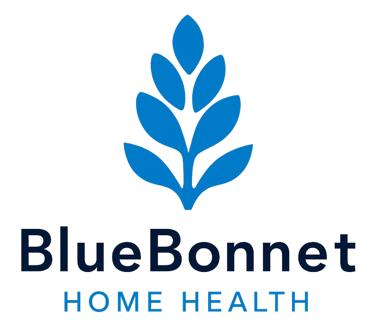 Bluebonnet Home Health at Houston, TX