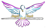 Angels Touch Non-Medical Home Healthcare Services - Grand Rapids, MI