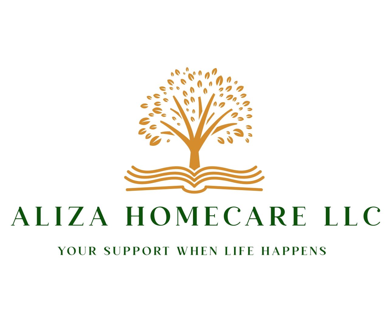 Aliza Homecare - Tacoma, WA