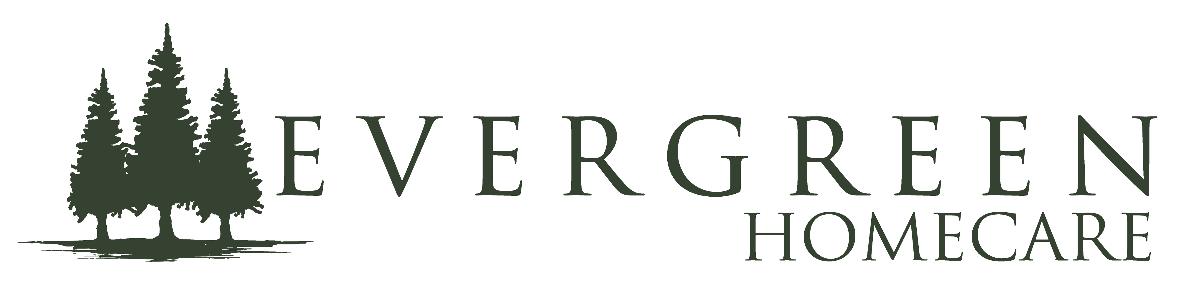 Home Option Home Care of Twin Falls ID  - Twin Falls, ID