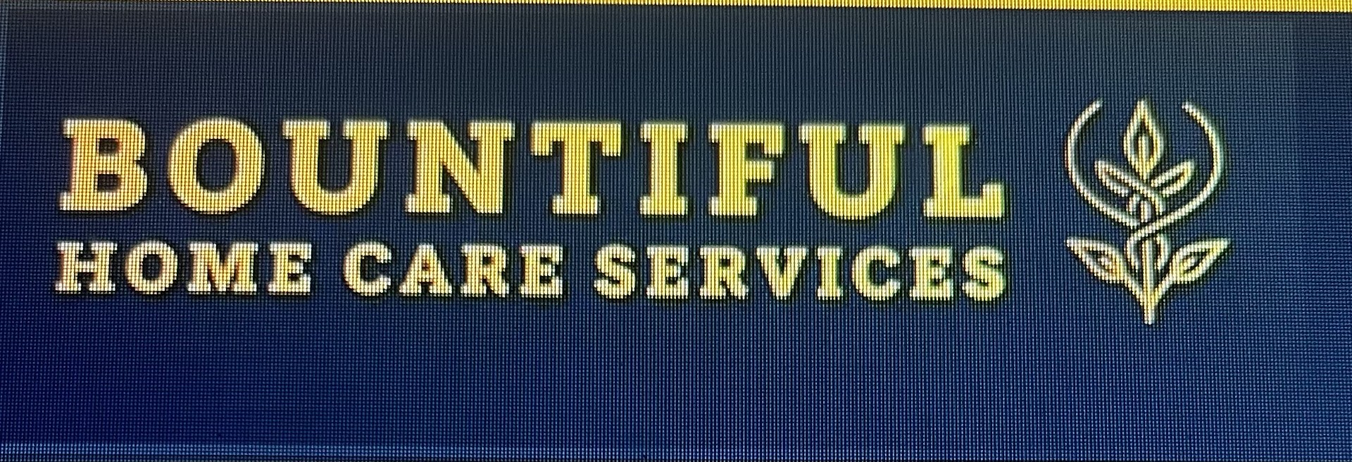 Bountiful Home Care Services at Houston, TX
