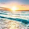 Dawn88 avatar
